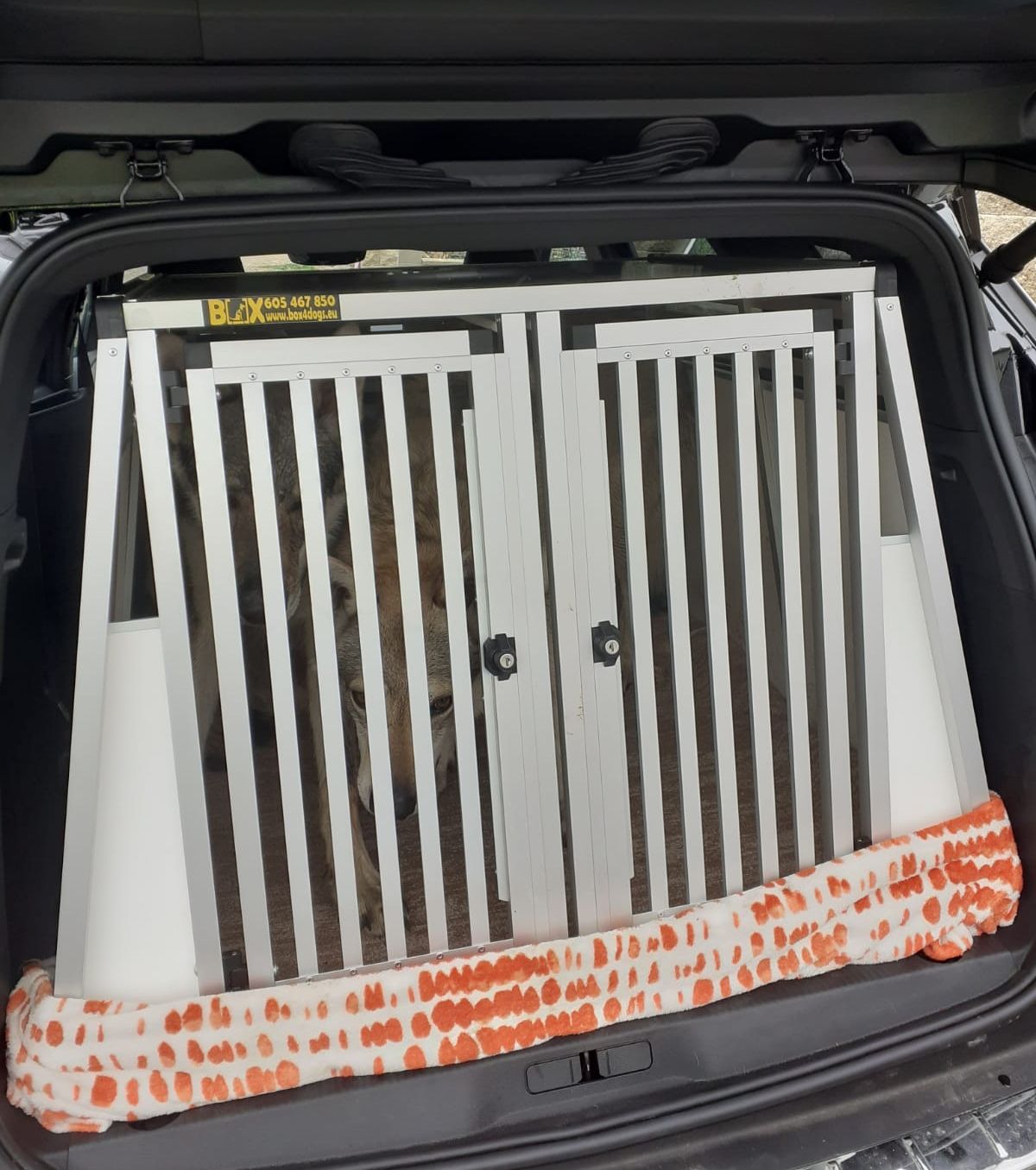 Box4Dogs přepravní klec do auta - Peugeot 5008