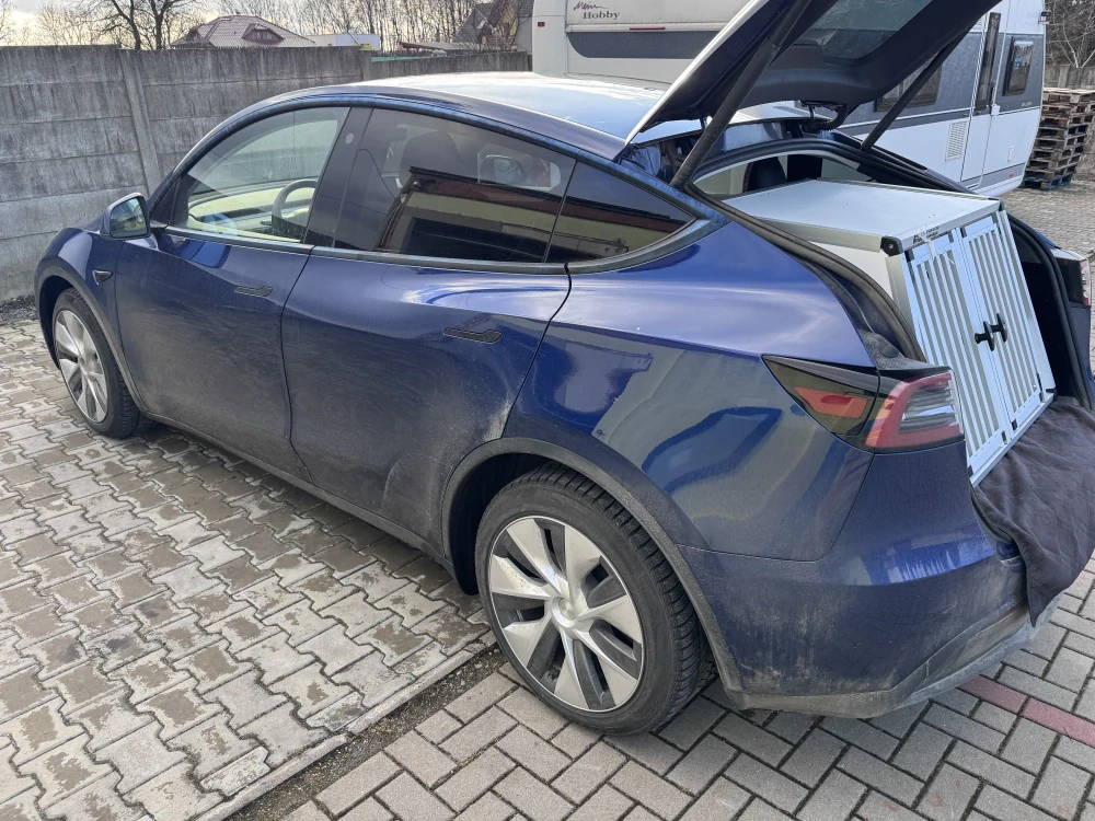 Box4Dogs přepravní klec do auta - TESLA Y