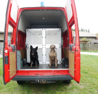Box4Dogs přepravní klec do auta - Ford Transit