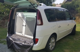 Box4Dogs přepravní klec do auta -Renault Espace Grand